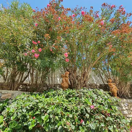 Villa Tango *