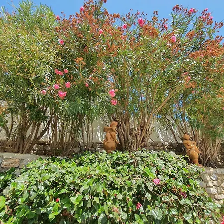 Villa Tango Salobreña